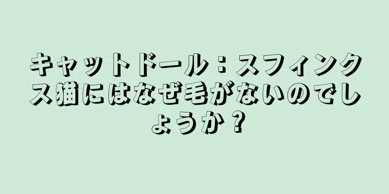 キャットドール：スフィンクス猫にはなぜ毛がないのでしょうか？