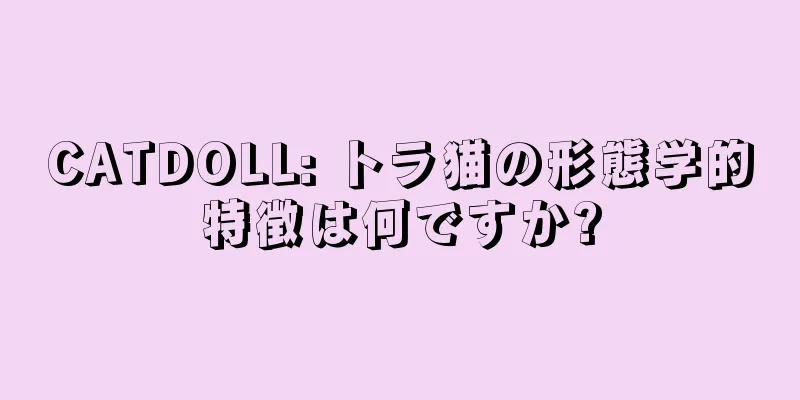 CATDOLL: トラ猫の形態学的特徴は何ですか?