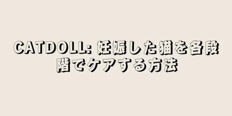 CATDOLL: 妊娠した猫を各段階でケアする方法