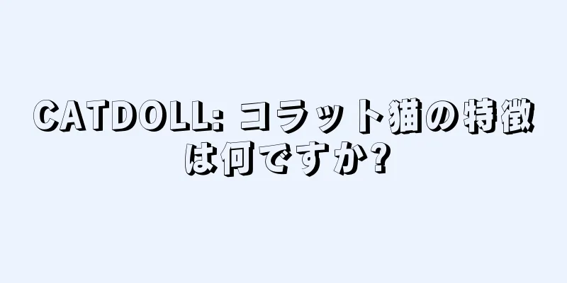 CATDOLL: コラット猫の特徴は何ですか?