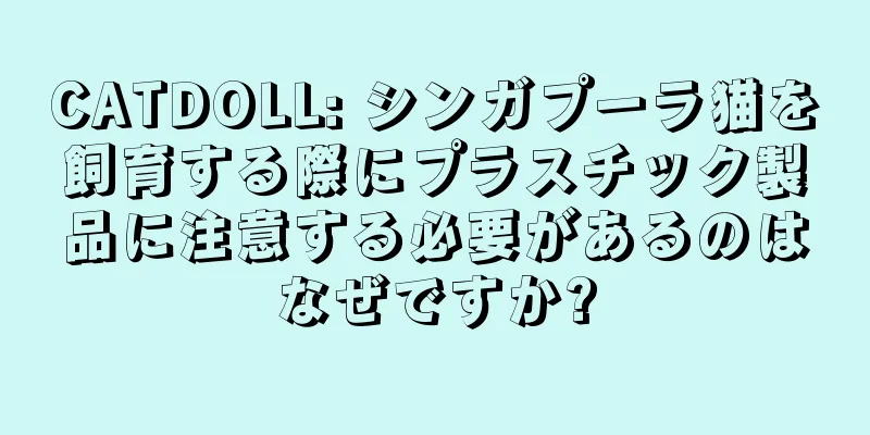CATDOLL: シンガプーラ猫を飼育する際にプラスチック製品に注意する必要があるのはなぜですか?