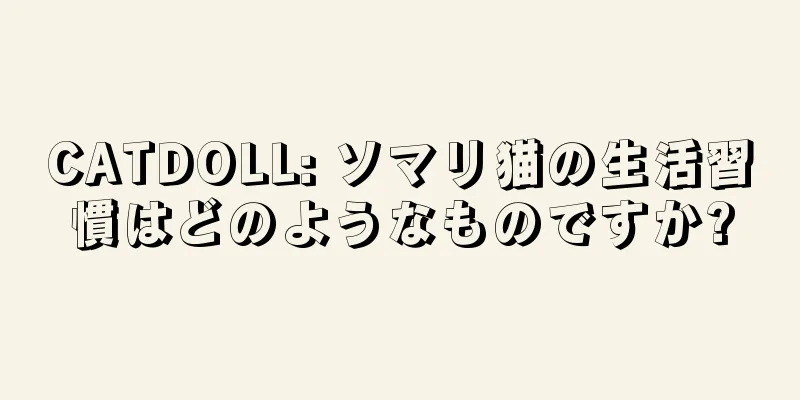 CATDOLL: ソマリ猫の生活習慣はどのようなものですか?