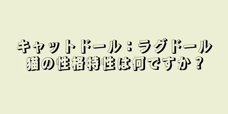キャットドール：ラグドール猫の性格特性は何ですか？