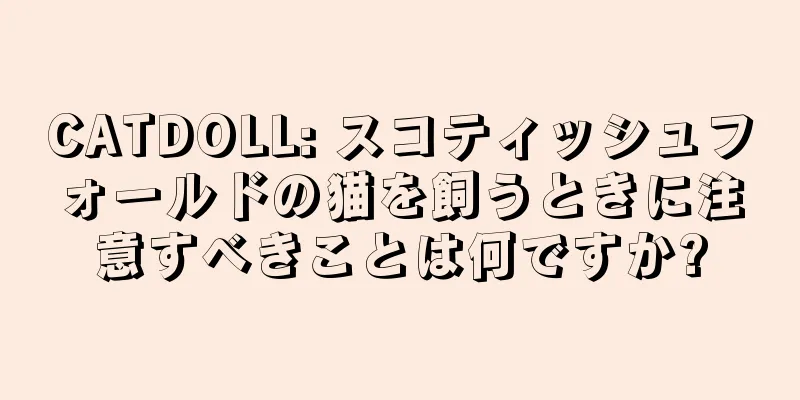 CATDOLL: スコティッシュフォールドの猫を飼うときに注意すべきことは何ですか?