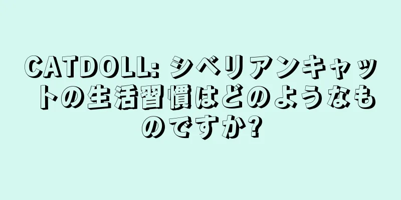 CATDOLL: シベリアンキャットの生活習慣はどのようなものですか?
