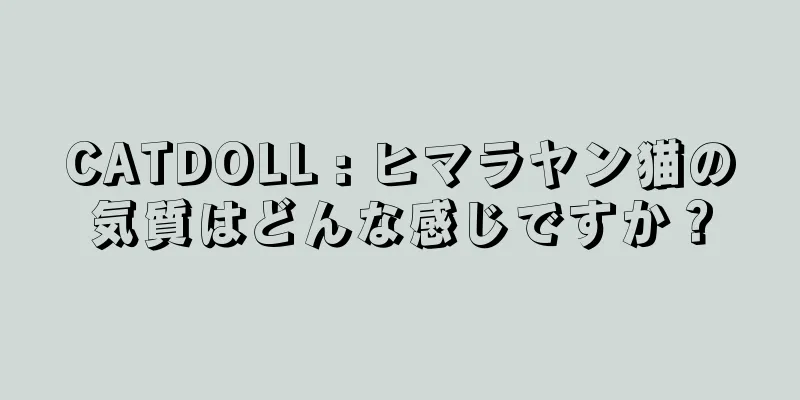CATDOLL : ヒマラヤン猫の気質はどんな感じですか？