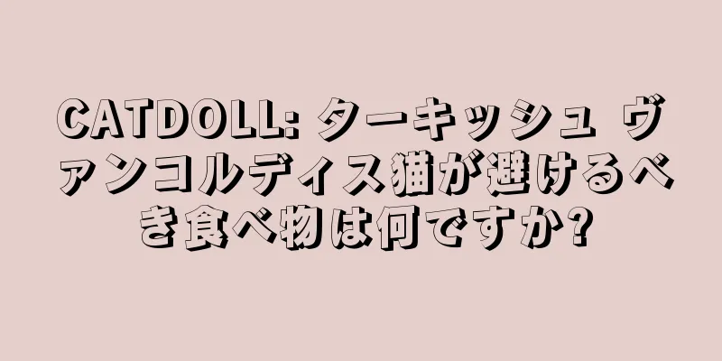 CATDOLL: ターキッシュ ヴァンコルディス猫が避けるべき食べ物は何ですか?