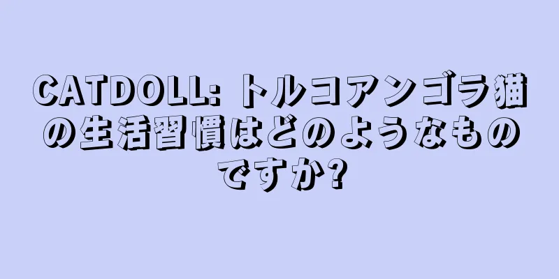 CATDOLL: トルコアンゴラ猫の生活習慣はどのようなものですか?
