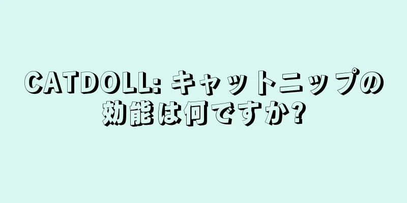 CATDOLL: キャットニップの効能は何ですか?