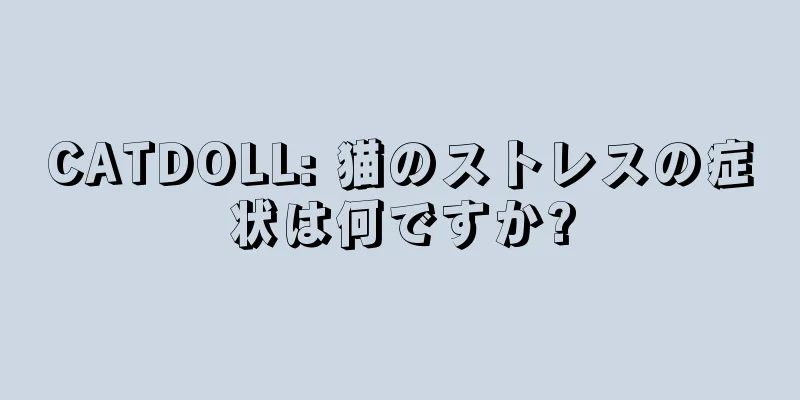 CATDOLL: 猫のストレスの症状は何ですか?