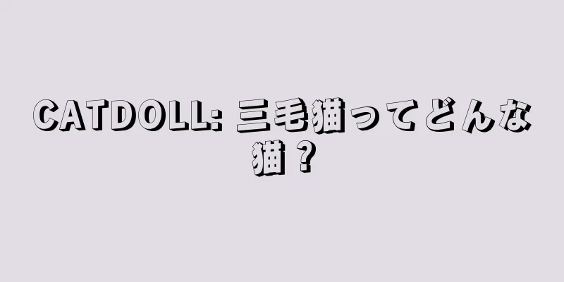 CATDOLL: 三毛猫ってどんな猫？