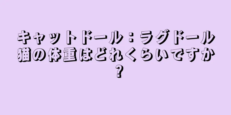 キャットドール：ラグドール猫の体重はどれくらいですか？