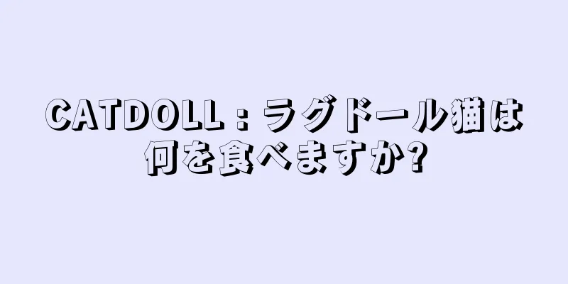 CATDOLL : ラグドール猫は何を食べますか?