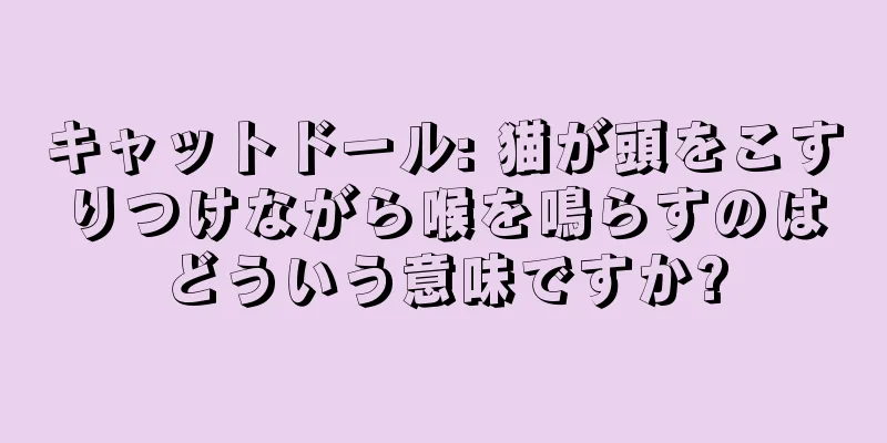 キャットドール: 猫が頭をこすりつけながら喉を鳴らすのはどういう意味ですか?