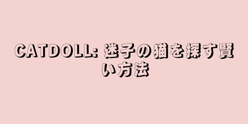 CATDOLL: 迷子の猫を探す賢い方法