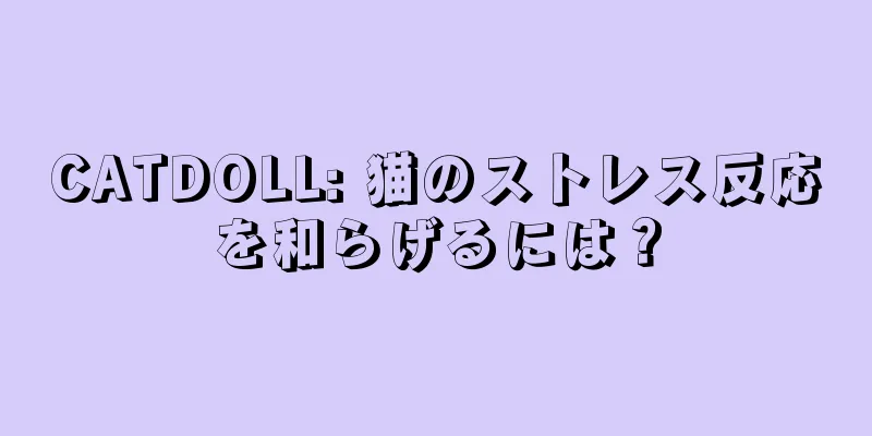 CATDOLL: 猫のストレス反応を和らげるには？