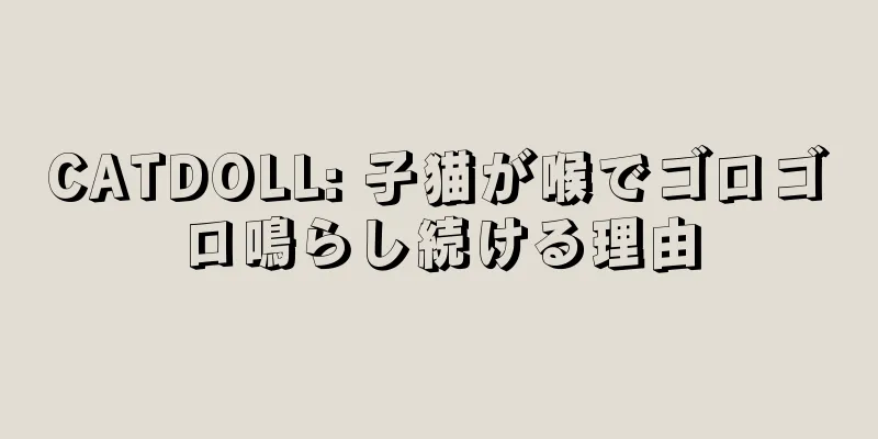 CATDOLL: 子猫が喉でゴロゴロ鳴らし続ける理由