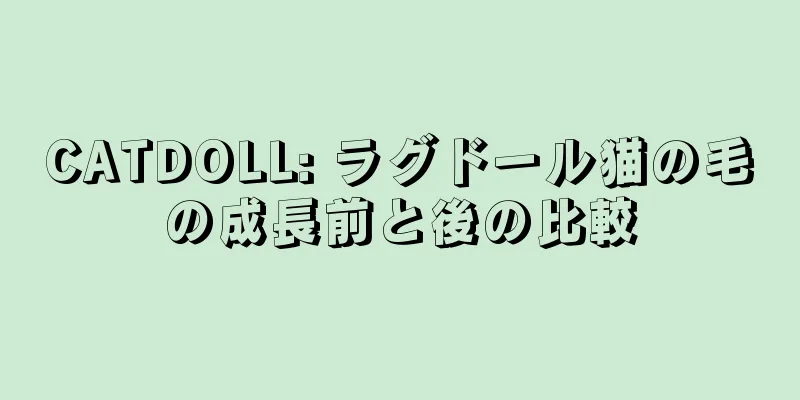 CATDOLL: ラグドール猫の毛の成長前と後の比較