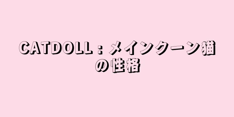 CATDOLL : メインクーン猫の性格