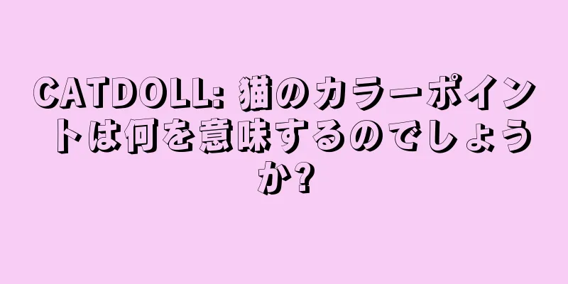 CATDOLL: 猫のカラーポイントは何を意味するのでしょうか?
