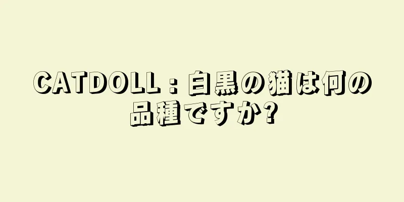CATDOLL : 白黒の猫は何の品種ですか?