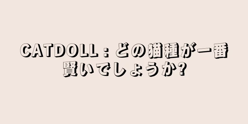 CATDOLL : どの猫種が一番賢いでしょうか?