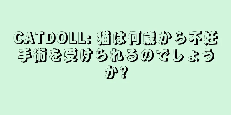 CATDOLL: 猫は何歳から不妊手術を受けられるのでしょうか?