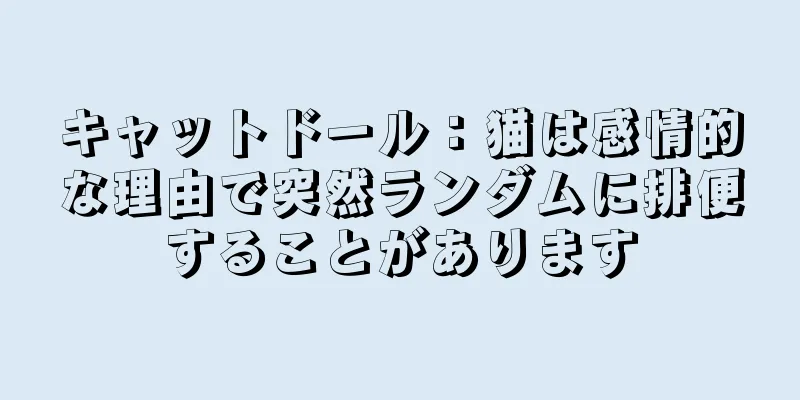 キャットドール：猫は感情的な理由で突然ランダムに排便することがあります