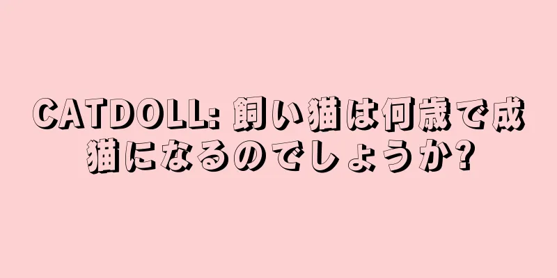 CATDOLL: 飼い猫は何歳で成猫になるのでしょうか?