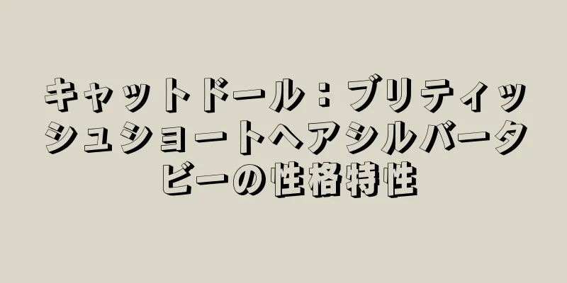 キャットドール：ブリティッシュショートヘアシルバータビーの性格特性