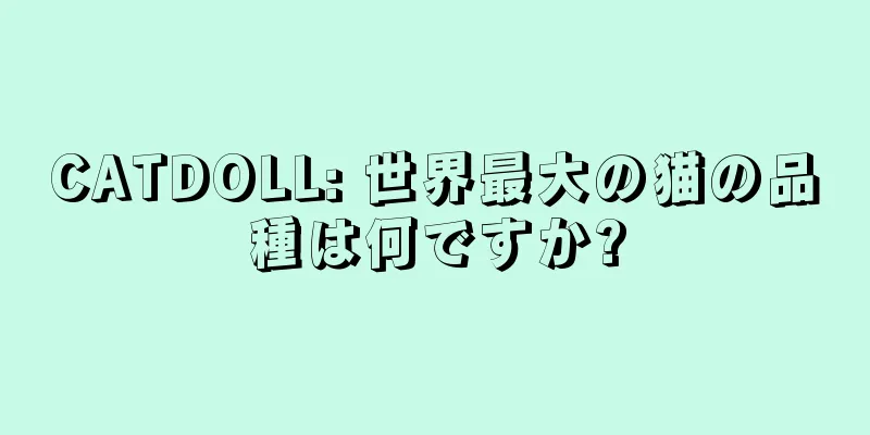 CATDOLL: 世界最大の猫の品種は何ですか?