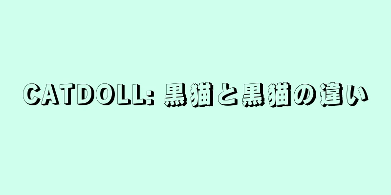 CATDOLL: 黒猫と黒猫の違い