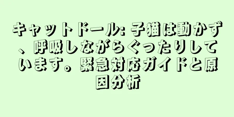 キャットドール: 子猫は動かず、呼吸しながらぐったりしています。緊急対応ガイドと原因分析