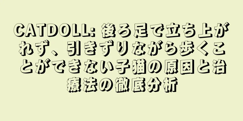CATDOLL: 後ろ足で立ち上がれず、引きずりながら歩くことができない子猫の原因と治療法の徹底分析