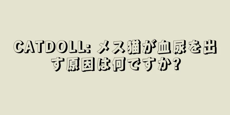 CATDOLL: メス猫が血尿を出す原因は何ですか?