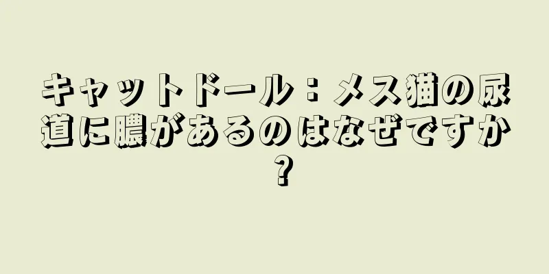 キャットドール：メス猫の尿道に膿があるのはなぜですか？