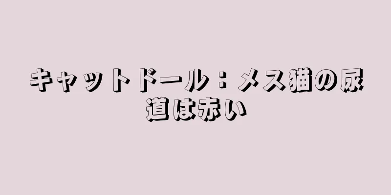 キャットドール：メス猫の尿道は赤い