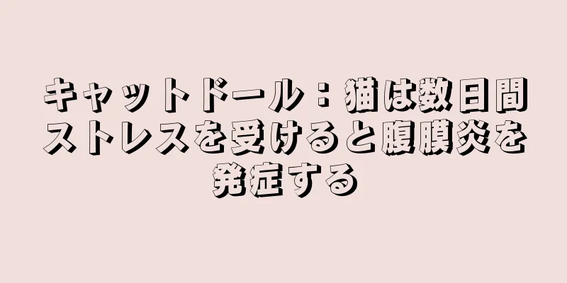 キャットドール：猫は数日間ストレスを受けると腹膜炎を発症する