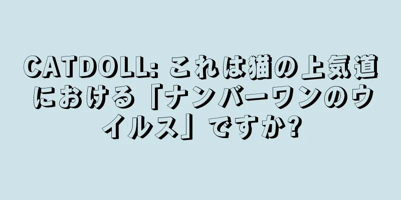 CATDOLL: これは猫の上気道における「ナンバーワンのウイルス」ですか?