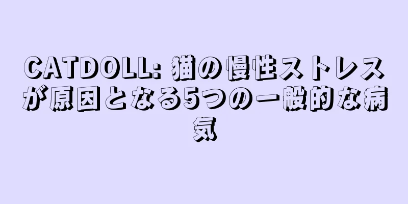 CATDOLL: 猫の慢性ストレスが原因となる5つの一般的な病気