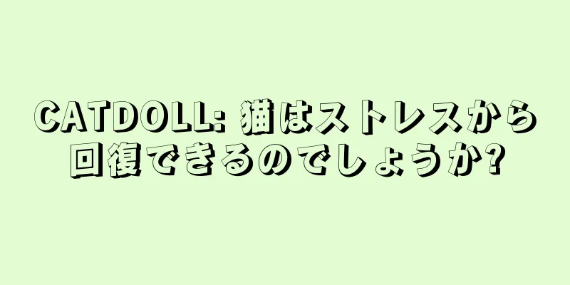 CATDOLL: 猫はストレスから回復できるのでしょうか?