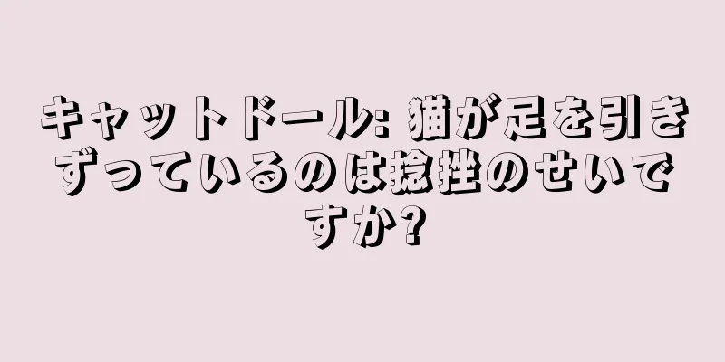 キャットドール: 猫が足を引きずっているのは捻挫のせいですか?