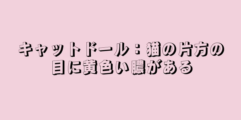 キャットドール：猫の片方の目に黄色い膿がある