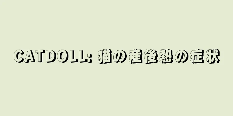 CATDOLL: 猫の産後熱の症状