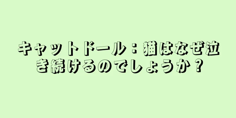 キャットドール：猫はなぜ泣き続けるのでしょうか？