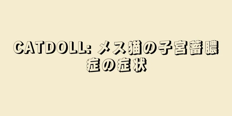 CATDOLL: メス猫の子宮蓄膿症の症状