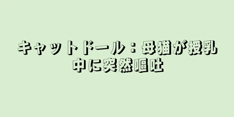 キャットドール：母猫が授乳中に突然嘔吐