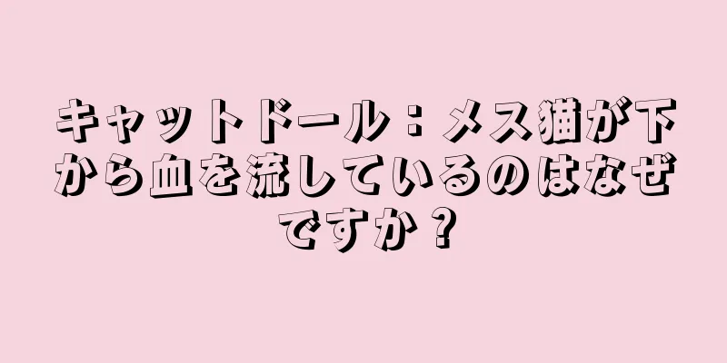 キャットドール：メス猫が下から血を流しているのはなぜですか？