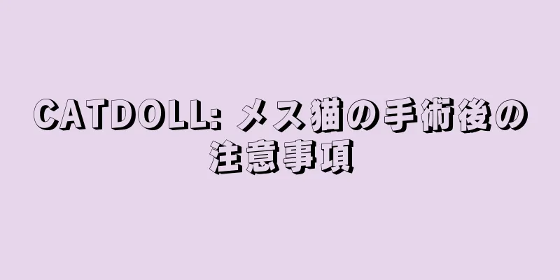 CATDOLL: メス猫の手術後の注意事項