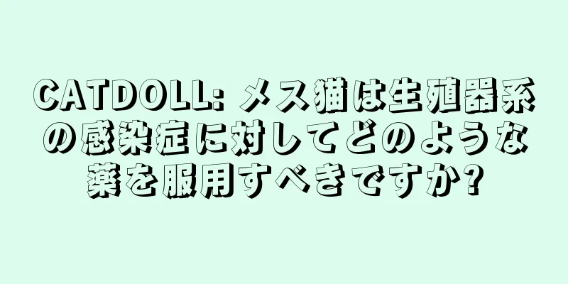 CATDOLL: メス猫は生殖器系の感染症に対してどのような薬を服用すべきですか?